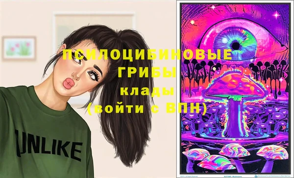 прущие крисы Костерёво