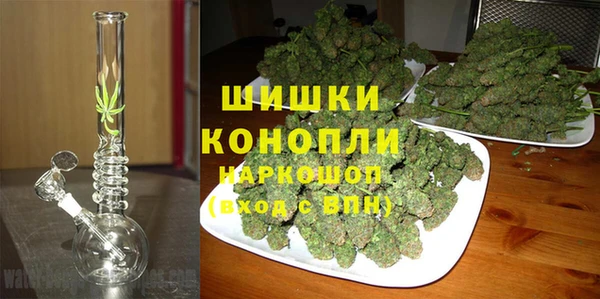 прущие крисы Костерёво